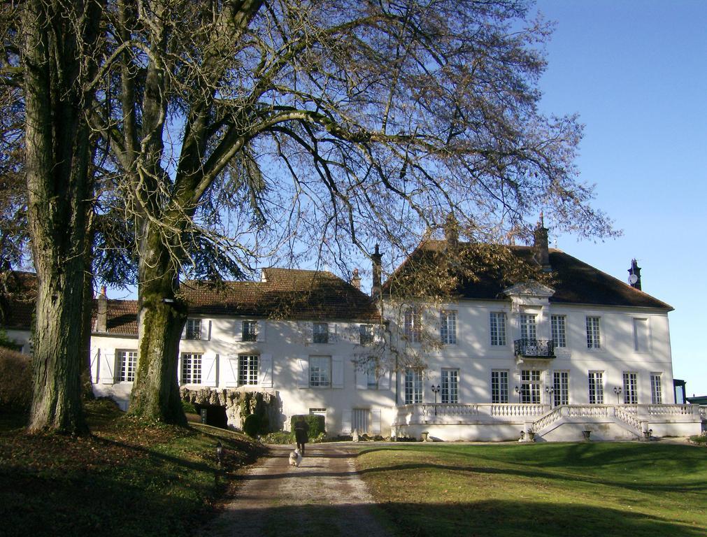 Le Chateau De Prauthoy Eksteriør billede